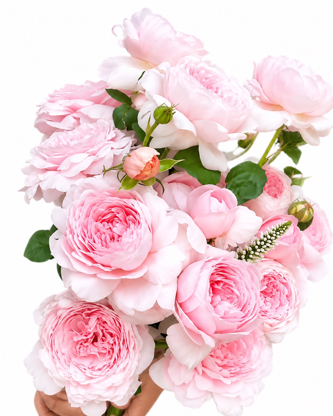 Floral arrangement
