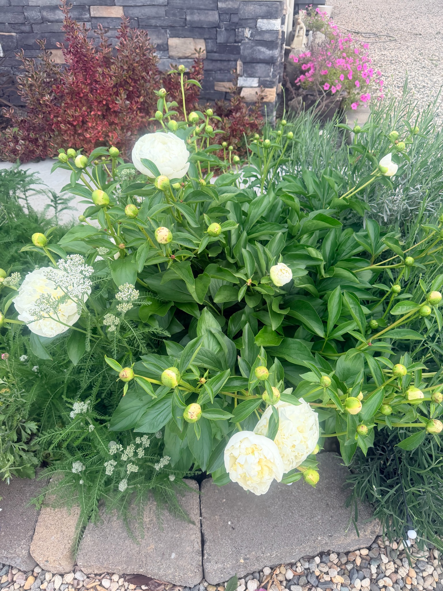 Floral arrangement