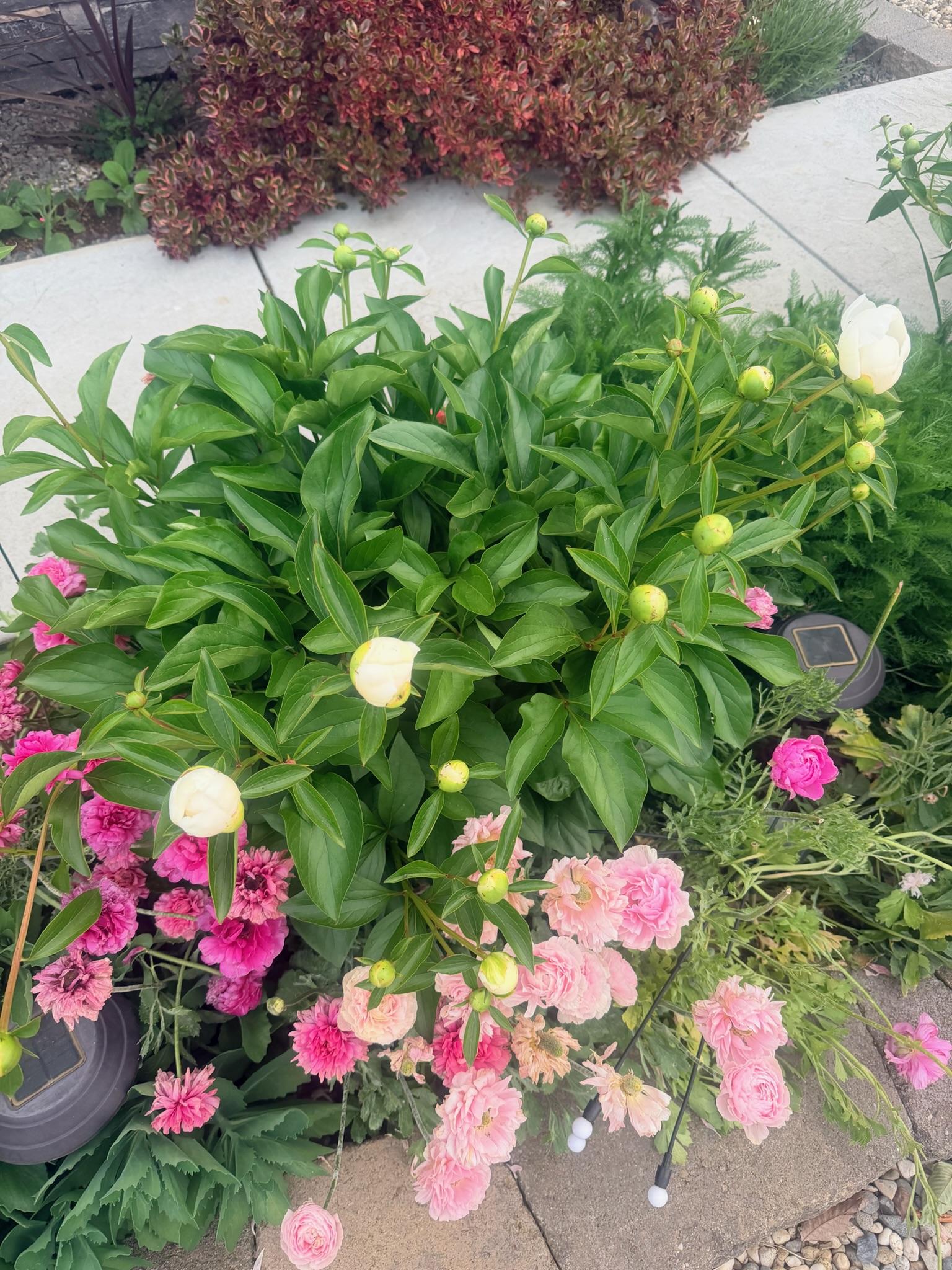 Floral arrangement